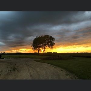 Meet your Posher, Shanna